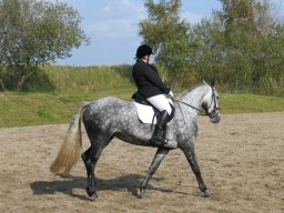 LF HSC - 0336_web